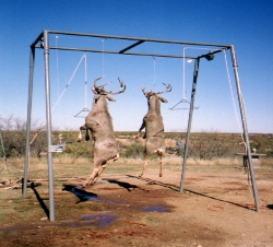 Hoffpauir Polaris® Hunting Equipment